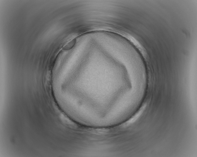X0000113291001200910131022