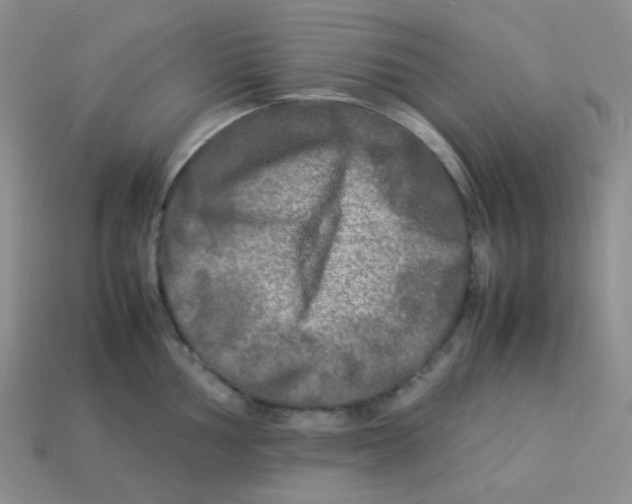 X0000113291002200910131022