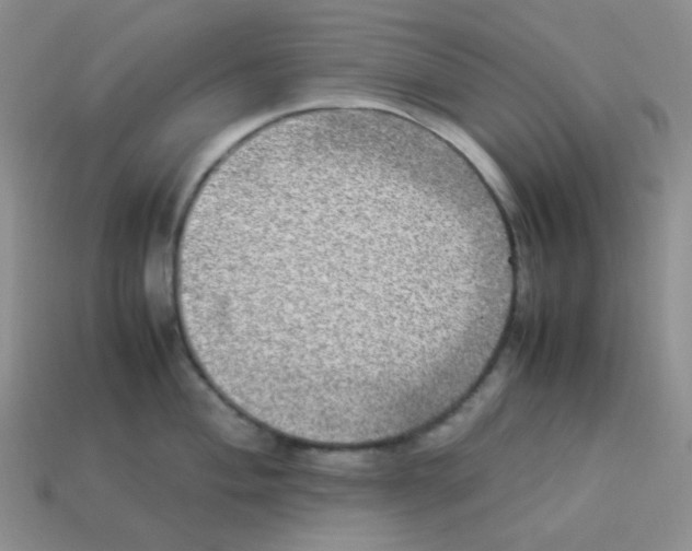 X0000113291004200910131022