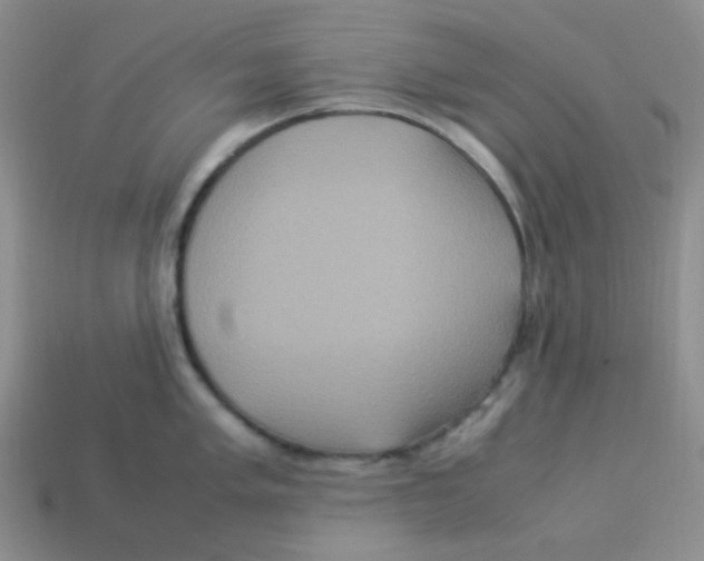X0000113291005200910131022