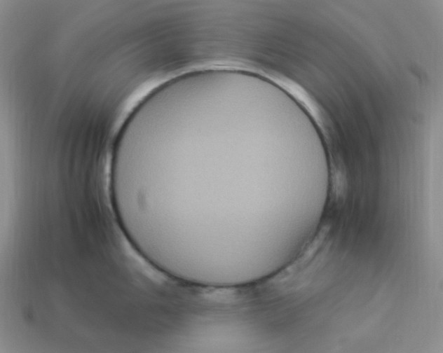 X0000113291006200910131022