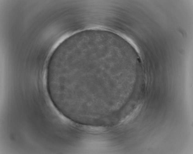 X0000113291007200910131022