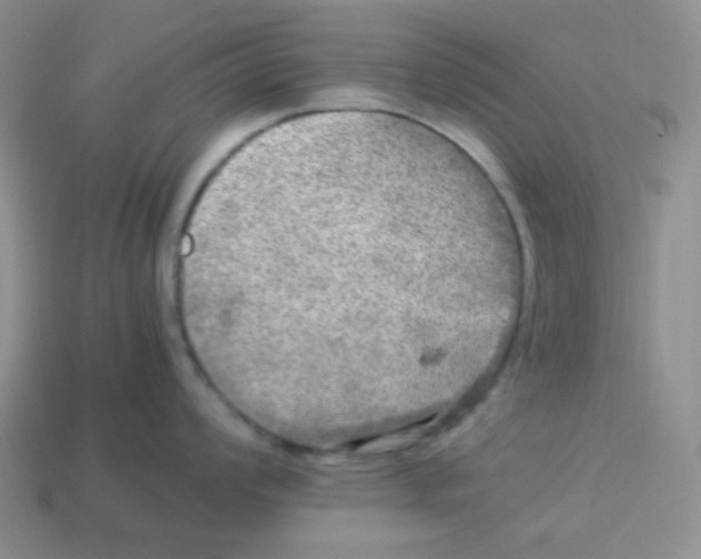 X0000113291008200910131022