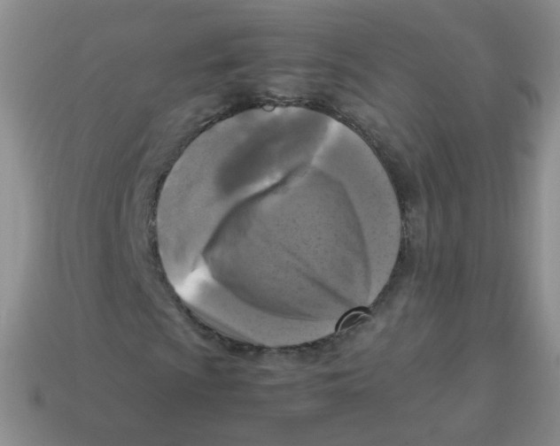 X0000113291009200910131022