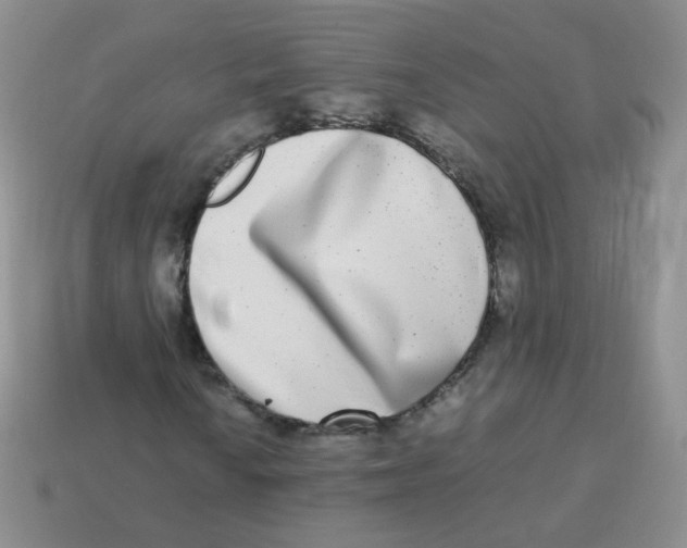 X0000113291010200910131022
