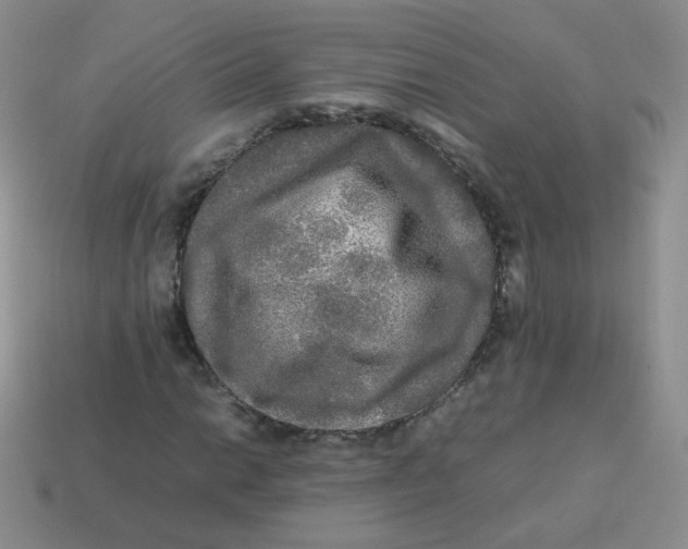 X0000113291014200910131022