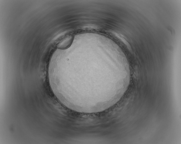 X0000113291015200910131022