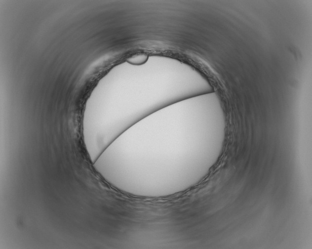 X0000113291016200910131022