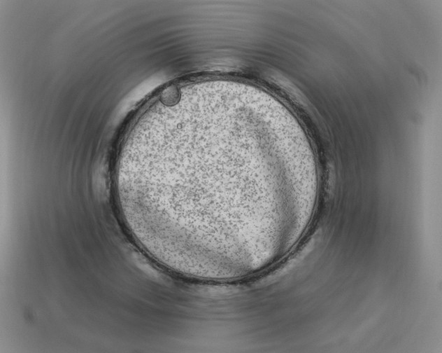 X0000113291018200910131022