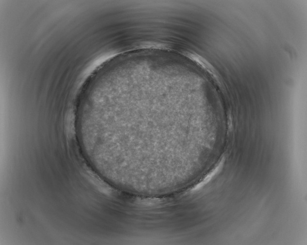 X0000113291019200910131022