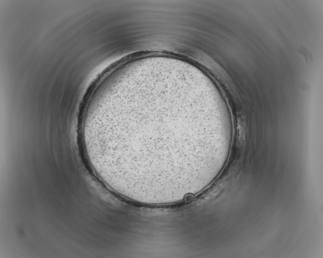 X0000113291020200910131022