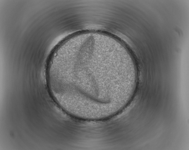X0000113291022200910131022