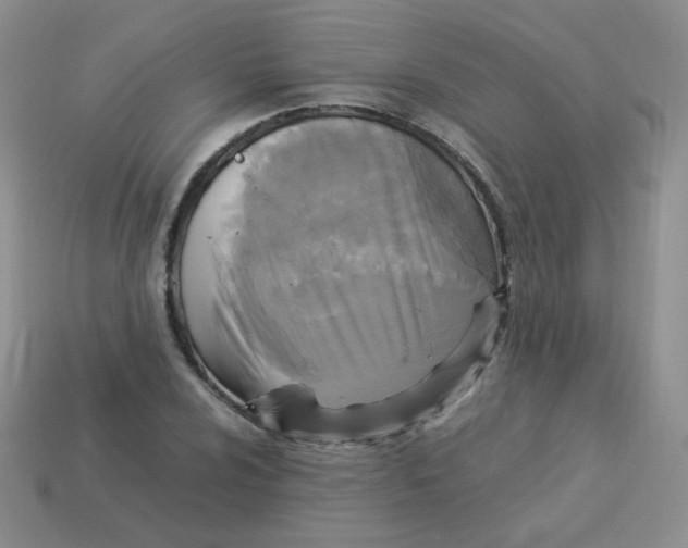 X0000113291024200910131022