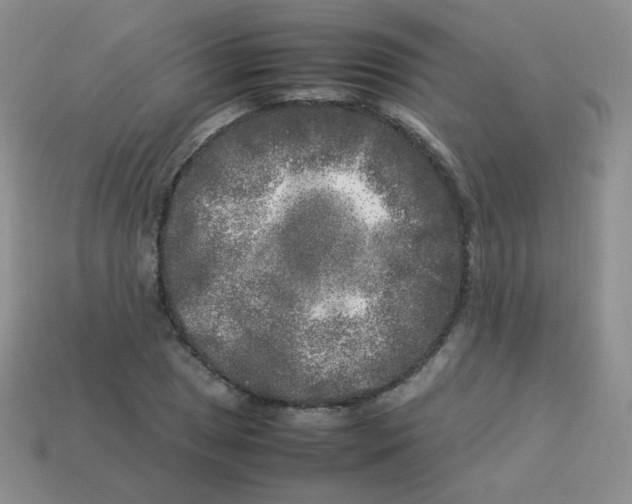 X0000113291025200910131022