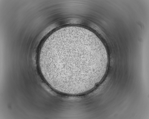 X0000113291026200910131022