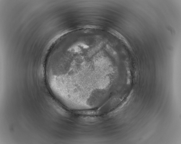 X0000113291027200910131022