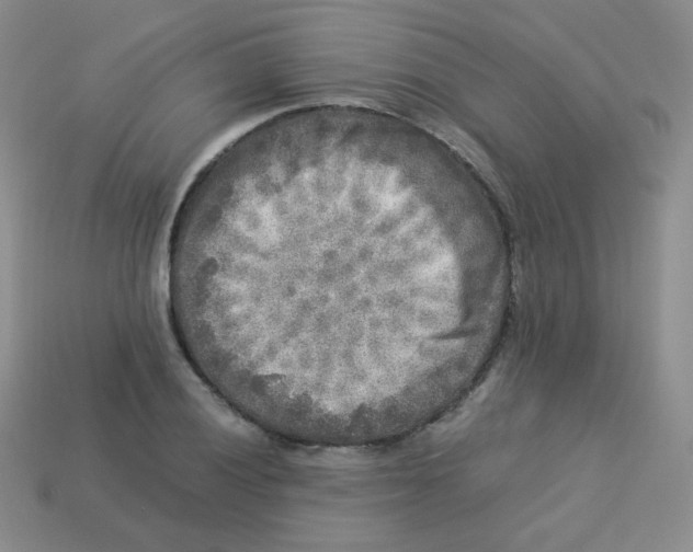 X0000113291028200910131022