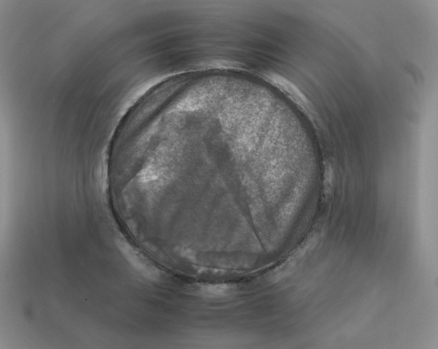 X0000113291031200910131022