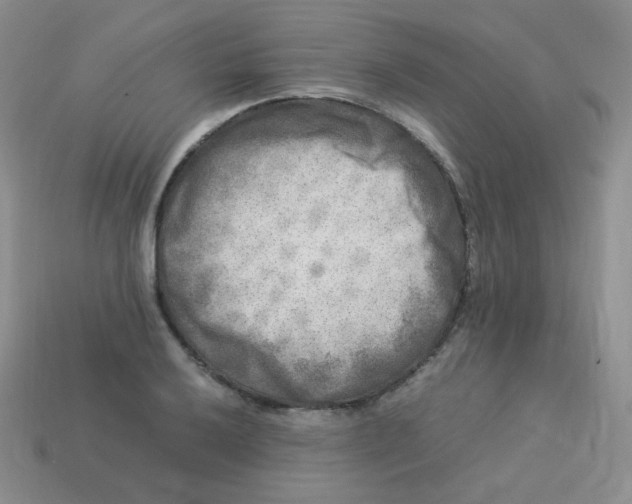 X0000113291032200910131022