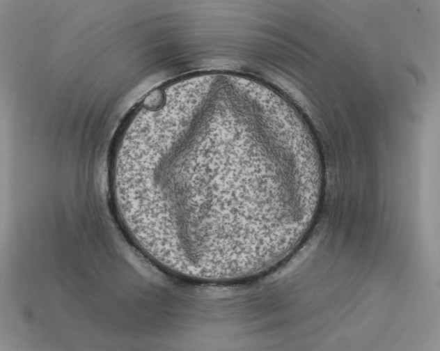 X0000113291034200910131022