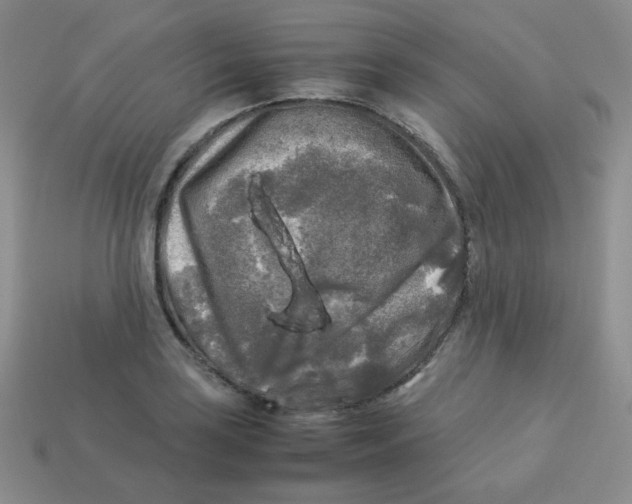 X0000113291035200910131022