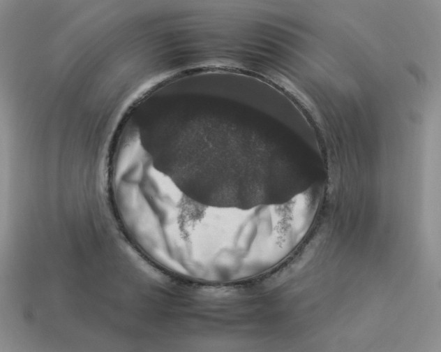 X0000113291037200910131022