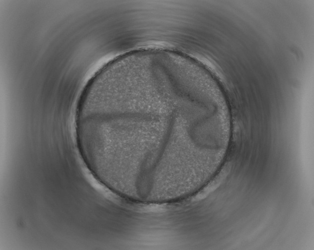 X0000113291038200910131022