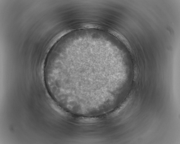 X0000113291039200910131022