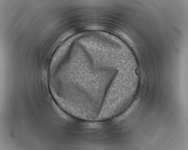 X0000113291041200910131022