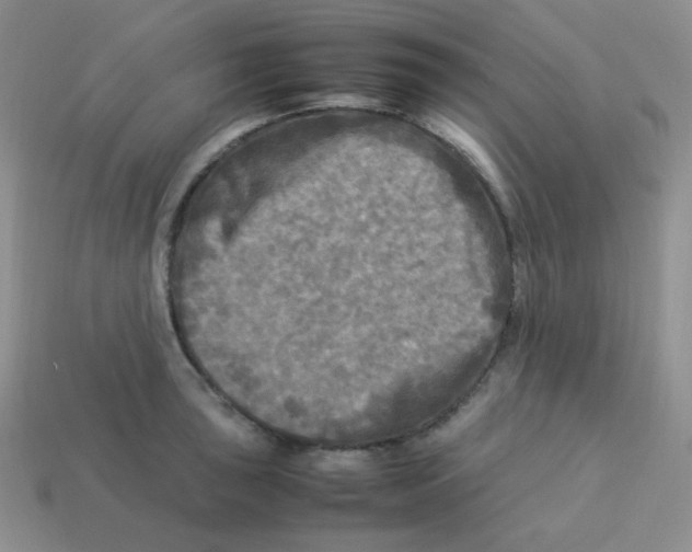 X0000113291043200910131022