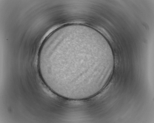 X0000113291044200910131022