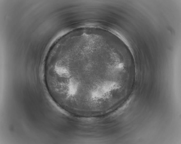 X0000113291045200910131022