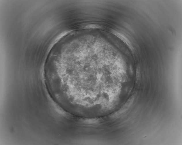 X0000113291047200910131022