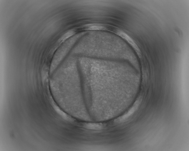 X0000113291049200910131022