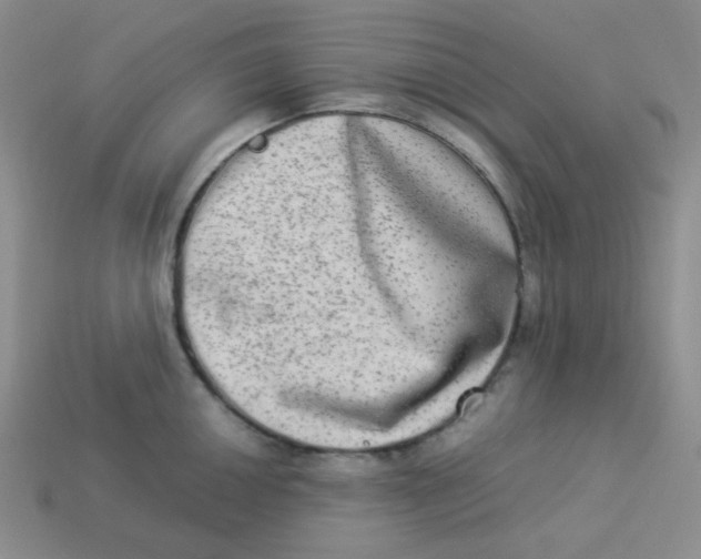 X0000113291050200910131022