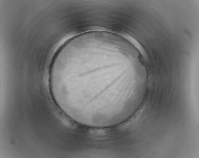 X0000113291051200910131022