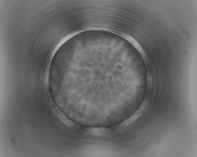 X0000113291052200910131022