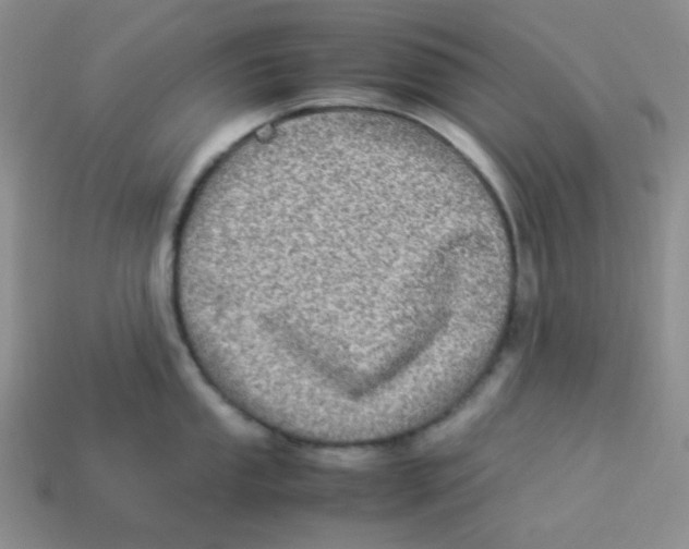 X0000113291053200910131022