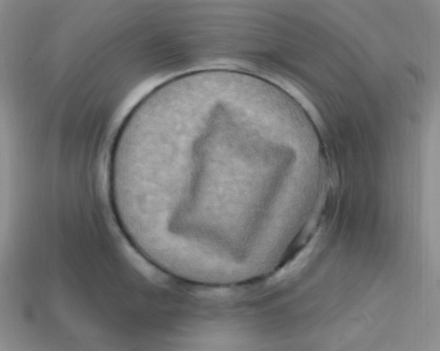 X0000113291054200910131022