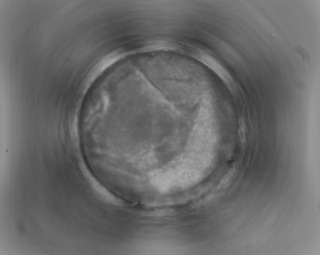 X0000113291055200910131022