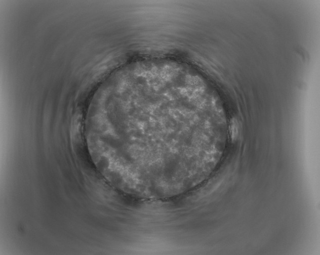 X0000113291059200910131022