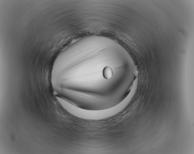 X0000113291060200910131022