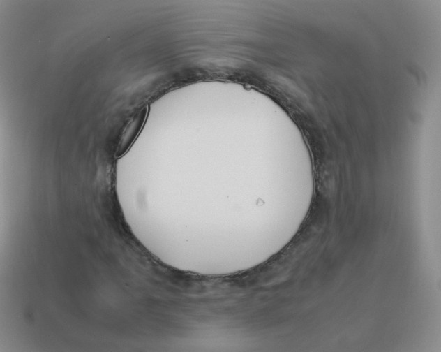 X0000113291061200910131022