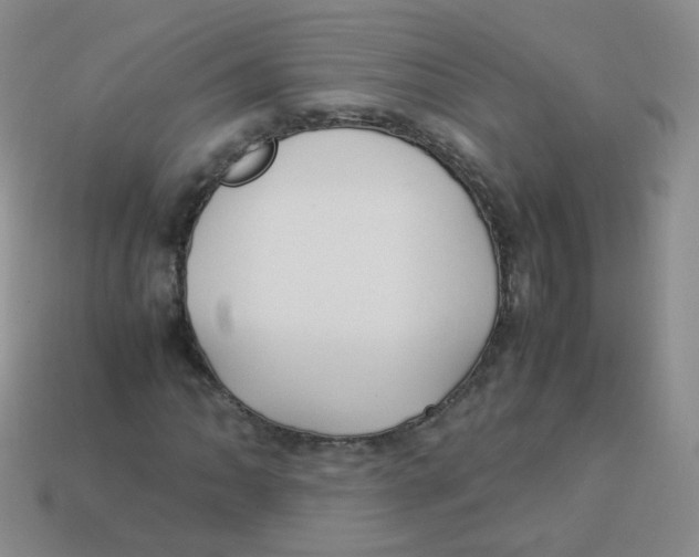 X0000113291062200910131022