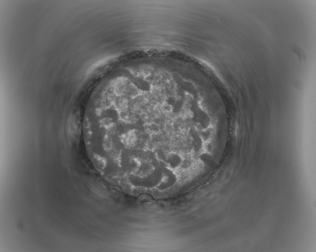 X0000113291063200910131022