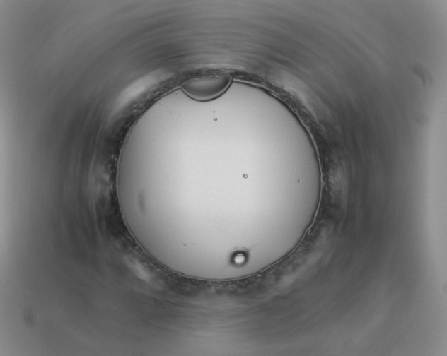 X0000113291064200910131022