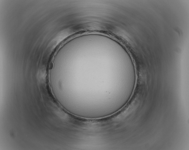X0000113291065200910131021