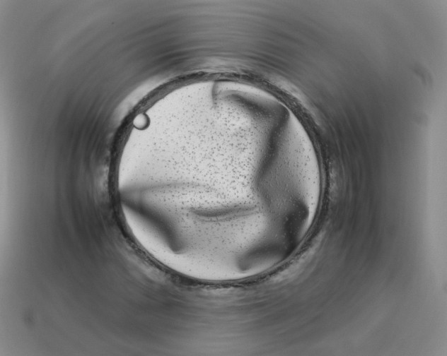 X0000113291066200910131021