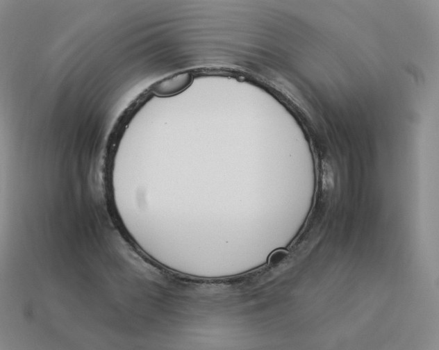 X0000113291068200910131021