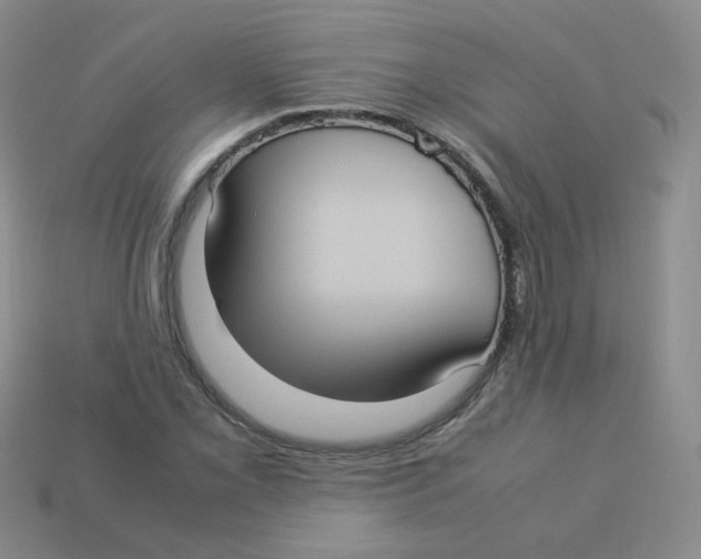 X0000113291069200910131021